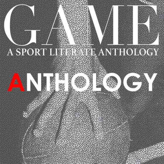 Front Cover of Game Anthology Book